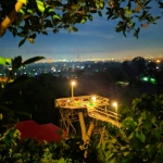 Wisata Rumah Pucuk